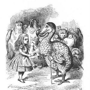 Meet your Posher, Alice